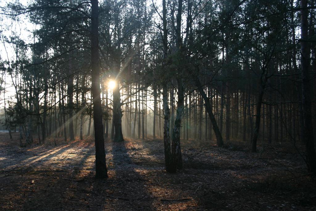 Bednarzowka Villa Nowy Tomysl Bagian luar foto