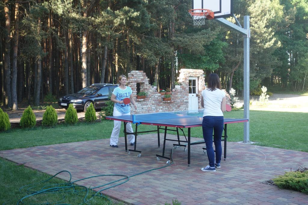 Bednarzowka Villa Nowy Tomysl Bagian luar foto